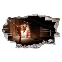 Vinilos 3d kickboxing
